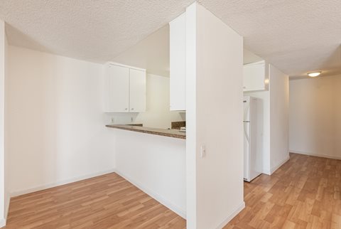 Kitchen with Hardwood Floors and White Cabinets